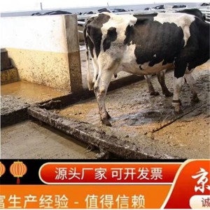 大型养牛设备刮粪机京金机械厂家批发