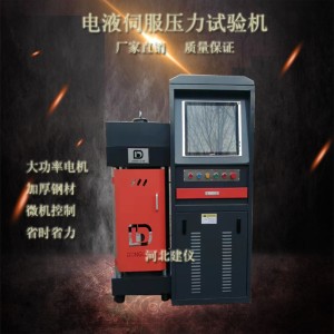 200噸電液伺服壓力試驗機