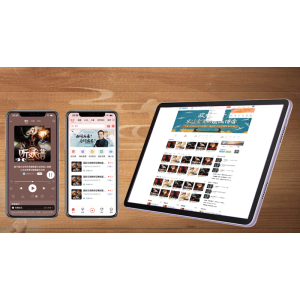 復(fù)刻喜馬拉雅功能的有聲書平臺源碼，模塊化設(shè)計節(jié)省企業(yè)投入