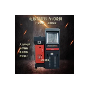 天津  300噸/3000KN微機控制電液伺服壓力試驗機
