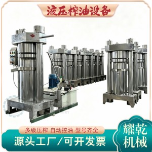 小型茶子榨油機(jī) 低溫胡麻籽榨油設(shè)備 型號齊全 核桃仁壓油設(shè)備